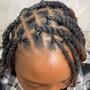 Twist (natural hair)