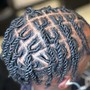 Comb Twist / Starter Locs