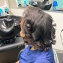 Kid’s Cut