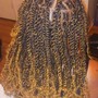 Large Senegalese twist( when you provide you hair)