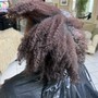 ROOT Touch Up