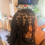 Natural Twists