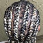 Top braided & Back individuals