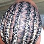 Top braided & Back individuals