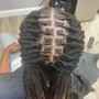 Micro Twist (W/ Extensions)