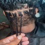 Starter Locs w/ YOUR Extensions