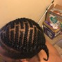 Comb Starter loc Twist