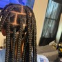 Large Traditional Box Braids