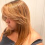 Partial Highlights & Toner