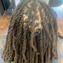 Loc Re-twist & Style