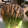 Hybrid Box Braids/Twist