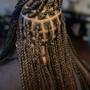 Individual Braids