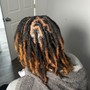 Natural Retwist NO STYLE ( HALF-Head of Locs )