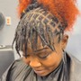 Root Touch Up