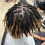 Starter locs coils