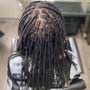 Starter Locs