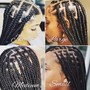 Individual Braids (LG) (MD) (SM) (Micro)