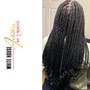 Passion Twists Medium