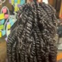 Two strand Twist