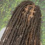 Butterfly distress Loc Extensions