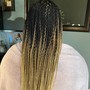 Box Braids (small)