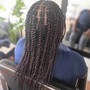 Senegalese Twist (medium)