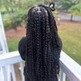 Medium Senegalese Twist (mid back)