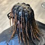 Natural Twists (Blow Dry)