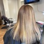 Full Balayage & Style