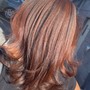 Partial Highlights