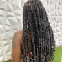 Senegalese Twist (Medium)