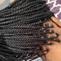 Tree Braids