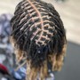 Loc Retwist