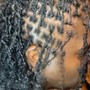 Individual Braids