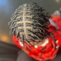 Starter locs/comb twist - short fro