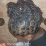 Loc Maintenance retwist half head only