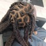 Starter Locs