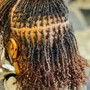 Loc Wix Marry service back length