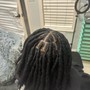 Loc Maintenance large dreads