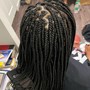 Medium Box Braids