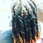 Starter loc retwist