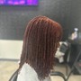 Root Touch Up