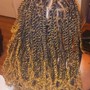 Individual Braids Natural hair* don't include wash