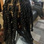 Re-Twist & Root touch up