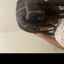 Loc Re-twist