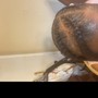 Loc Re-twist