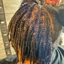 2 Strand Twist