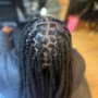 Starter Locs-Twist,Coil,Braid.