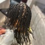 Root Touch Up