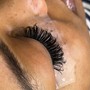 Lash fill in